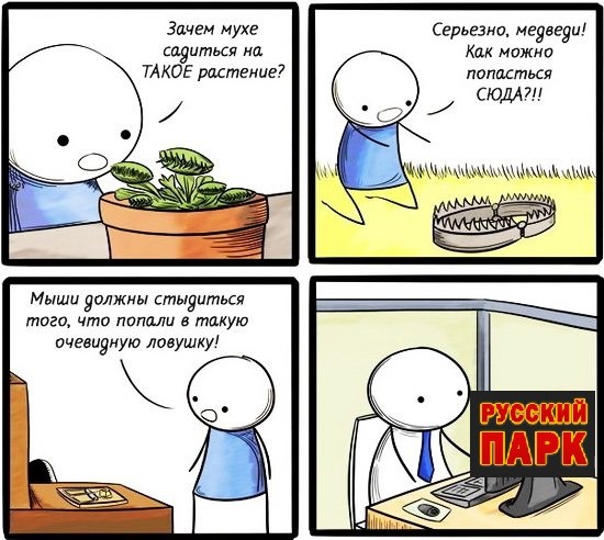 Алоэ арбуэ картинка
