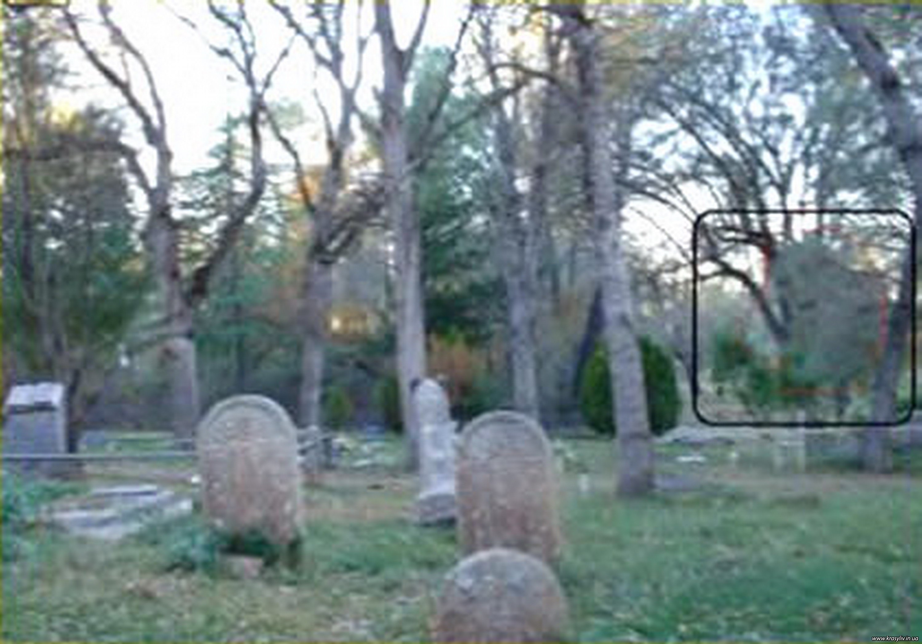 Фантом существо кладбище