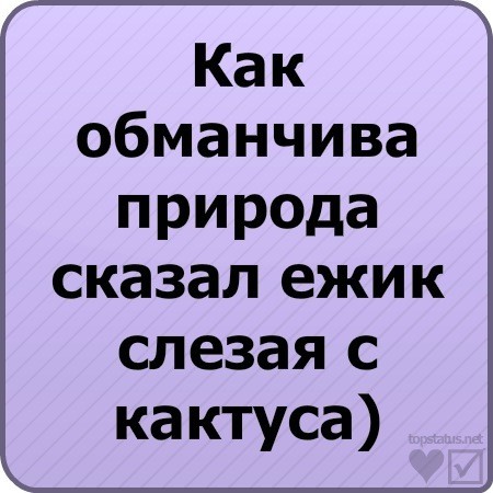 Очень смешные статусы до слез в картинках