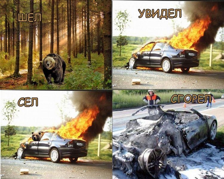 Про старый анекдот с медведем. Шпаков.   Медведь шел по лесу, как вдруг увидел горящую машину. Вдруг его неожиданно потянуло к этому сияющему жару, к этому мин