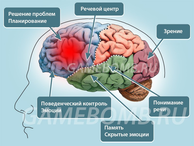 Видеоигры вызывают серьезные повреждения мозга. Doc_666.   По данным Gamebomb.ru, обозначенные учеными центральные области мозга в основном отвечают за когнитивные и эмоциональн