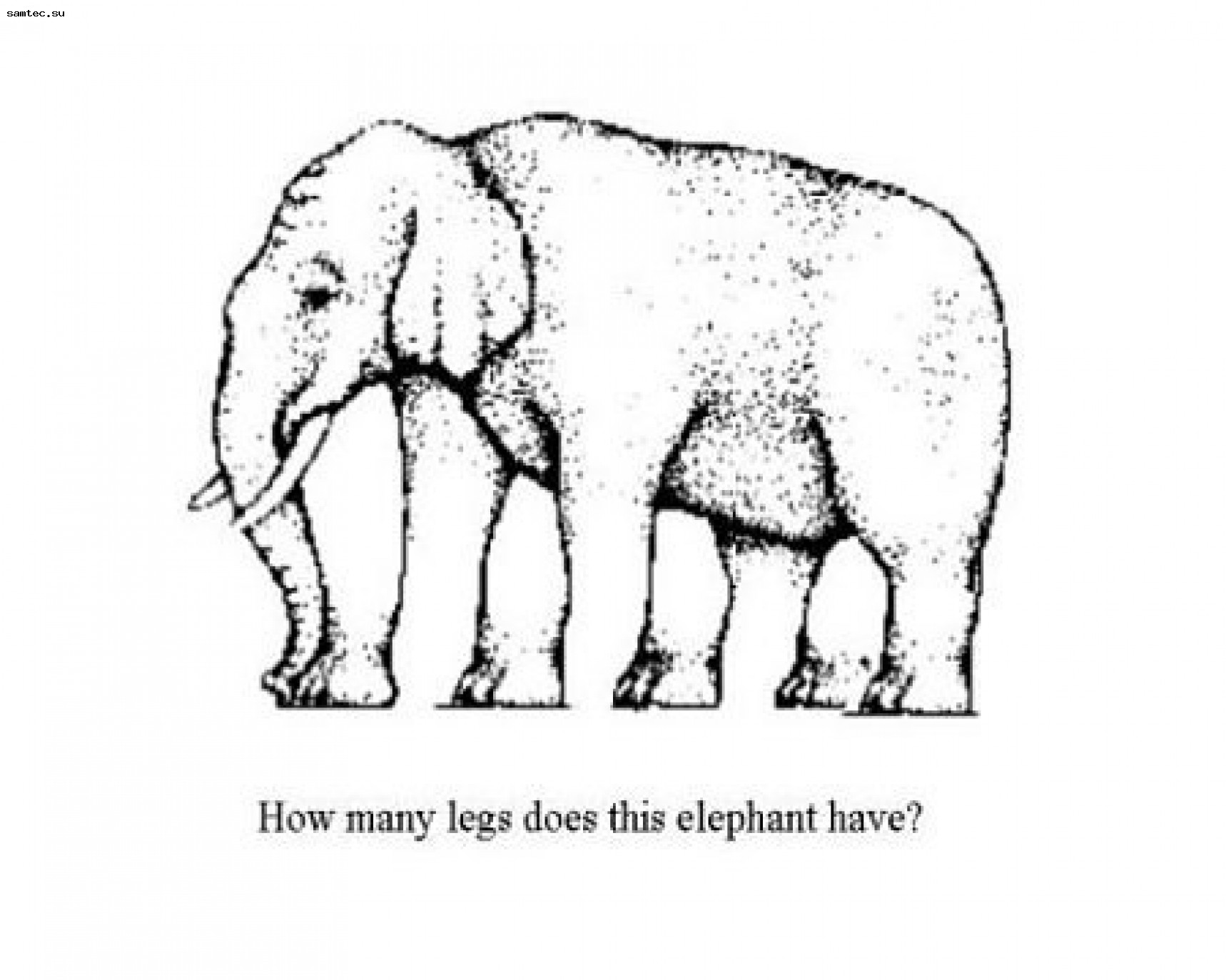 Найди слона на картинке. Иллюзия рисунок. Оптические иллюзии с животными. Оптический обман.