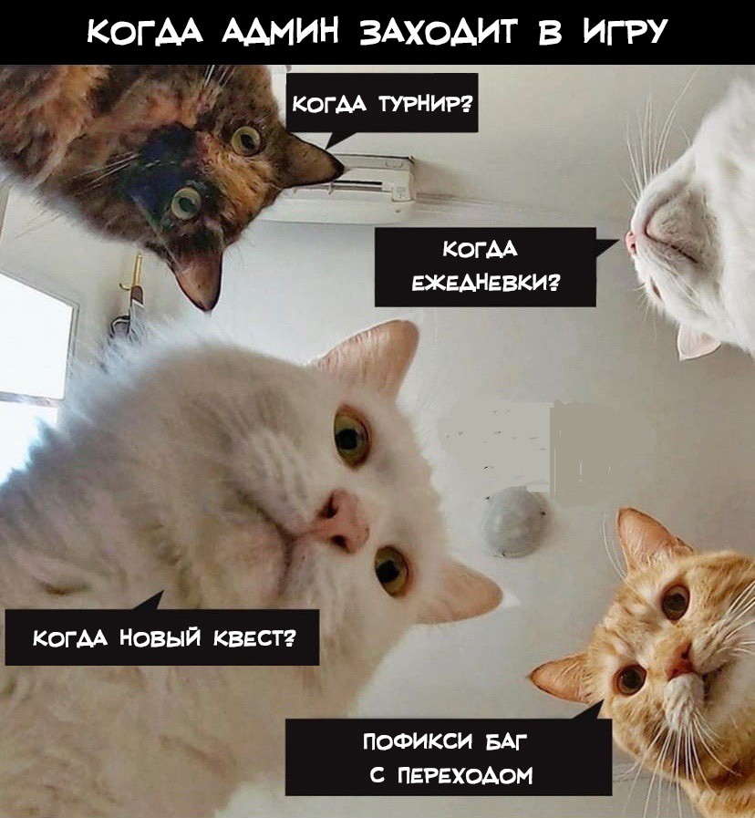 На конкурс мемов. Feel. Добрый вечер дамы и господа! Без лишних слов мемы:    P.S. Спасибо Виблзу  за содейс