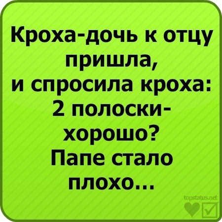 Статусы в вк прикольные в картинках