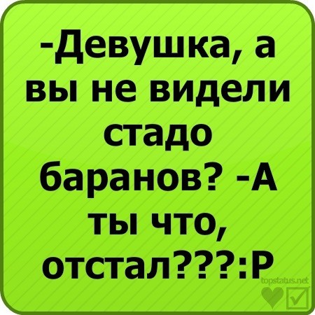 Статусы в вк прикольные в картинках